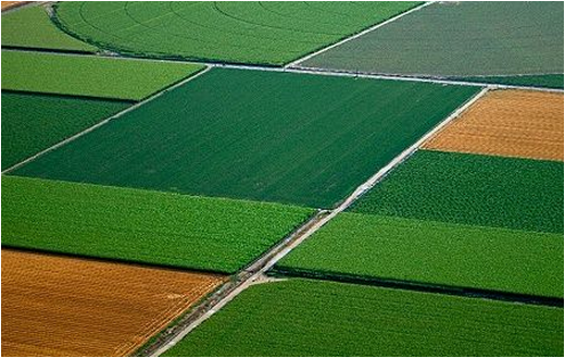 Agro Machinery Founder Image